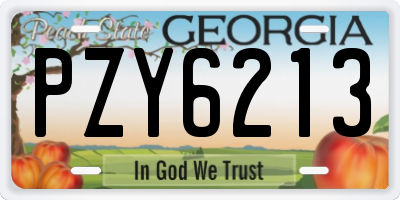 GA license plate PZY6213