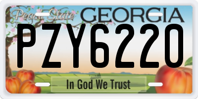 GA license plate PZY6220