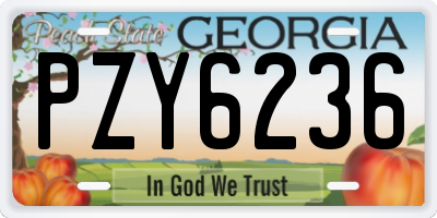 GA license plate PZY6236