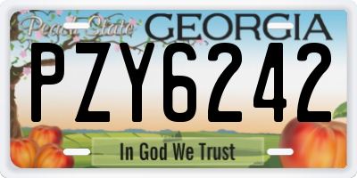 GA license plate PZY6242