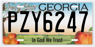 GA license plate PZY6247