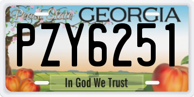 GA license plate PZY6251