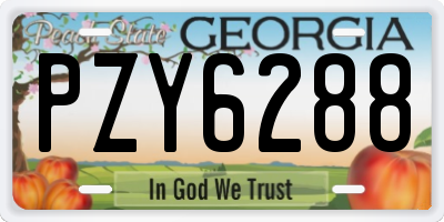 GA license plate PZY6288