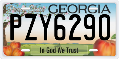 GA license plate PZY6290