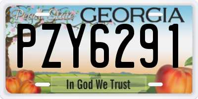 GA license plate PZY6291