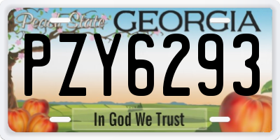 GA license plate PZY6293