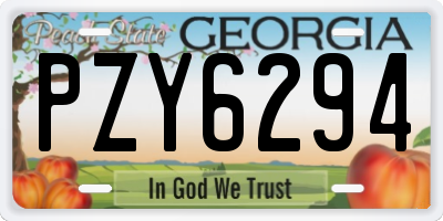 GA license plate PZY6294