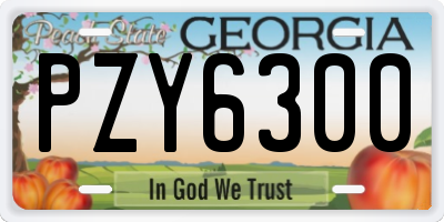 GA license plate PZY6300