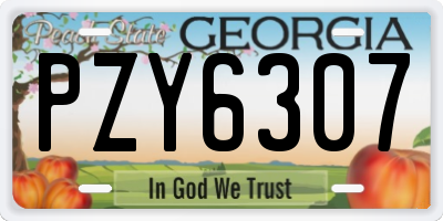 GA license plate PZY6307