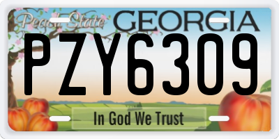 GA license plate PZY6309