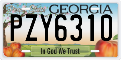 GA license plate PZY6310