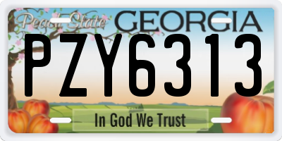 GA license plate PZY6313