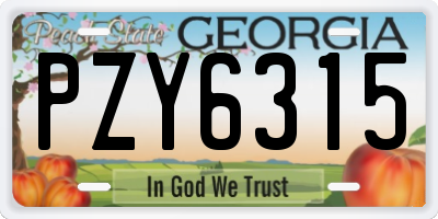 GA license plate PZY6315