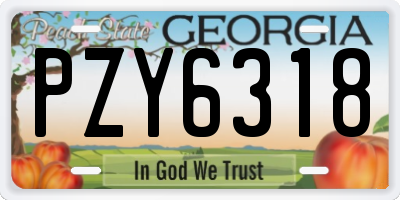 GA license plate PZY6318