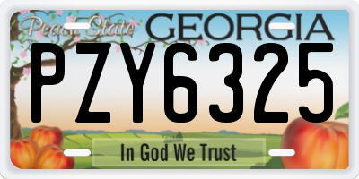 GA license plate PZY6325
