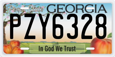 GA license plate PZY6328