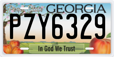 GA license plate PZY6329