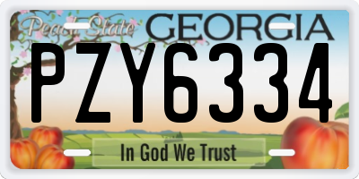 GA license plate PZY6334