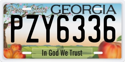 GA license plate PZY6336