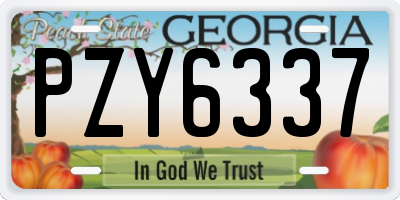 GA license plate PZY6337