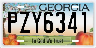 GA license plate PZY6341