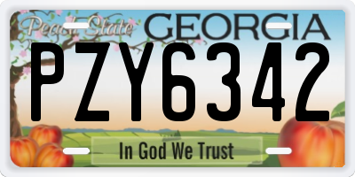 GA license plate PZY6342