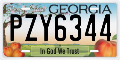 GA license plate PZY6344