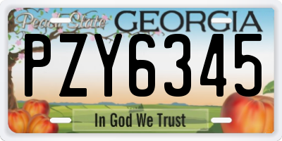 GA license plate PZY6345