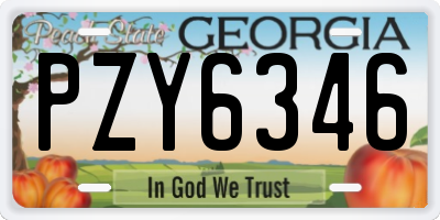 GA license plate PZY6346