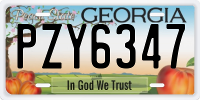 GA license plate PZY6347