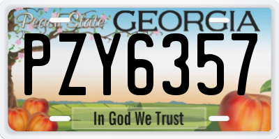 GA license plate PZY6357
