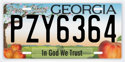 GA license plate PZY6364