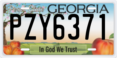 GA license plate PZY6371