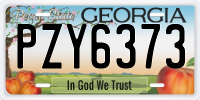 GA license plate PZY6373