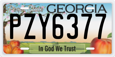 GA license plate PZY6377