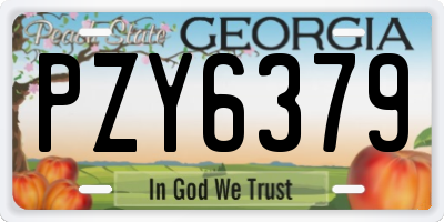 GA license plate PZY6379