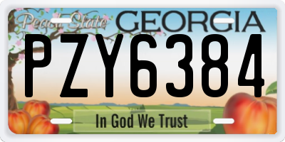 GA license plate PZY6384
