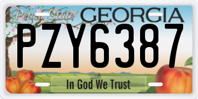 GA license plate PZY6387