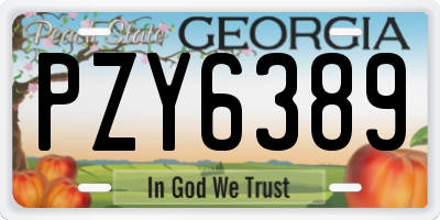 GA license plate PZY6389