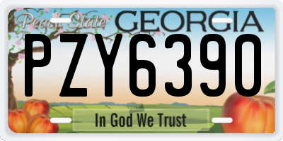 GA license plate PZY6390