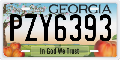 GA license plate PZY6393