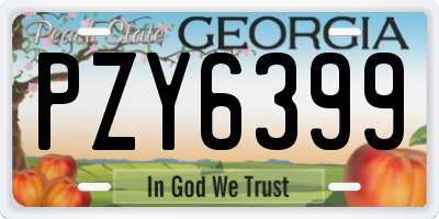 GA license plate PZY6399