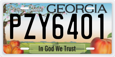 GA license plate PZY6401