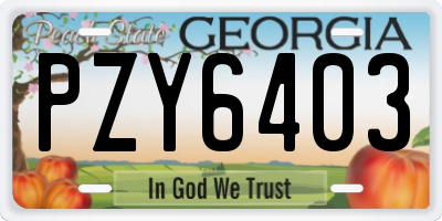 GA license plate PZY6403