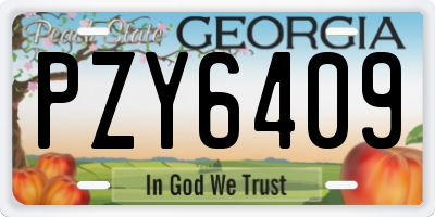 GA license plate PZY6409