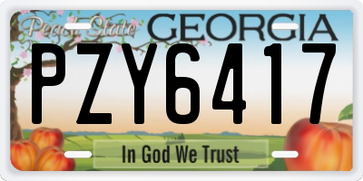 GA license plate PZY6417