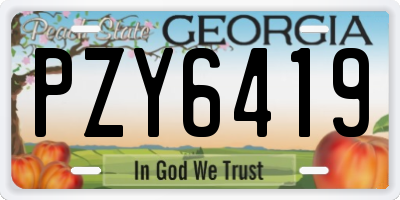 GA license plate PZY6419