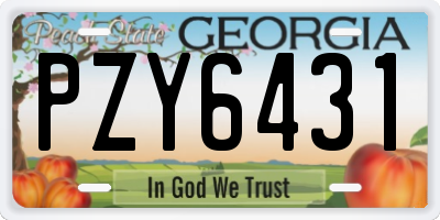 GA license plate PZY6431