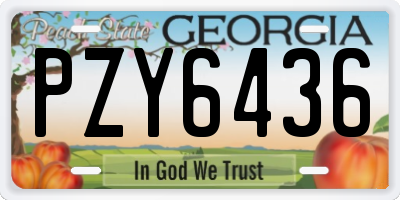 GA license plate PZY6436