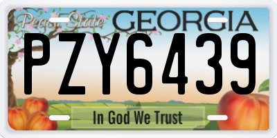 GA license plate PZY6439